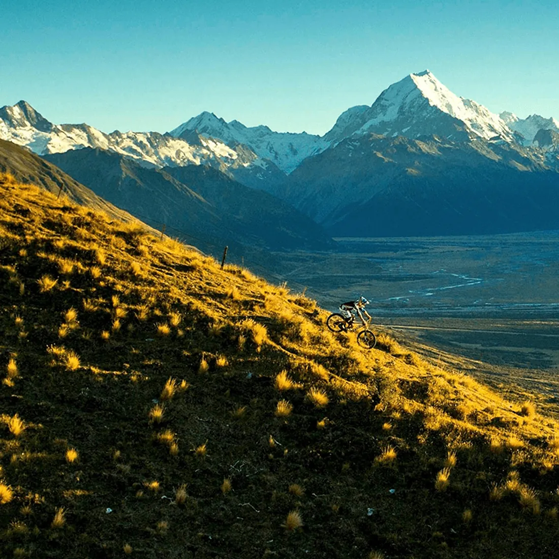 A mountain landscape in flower